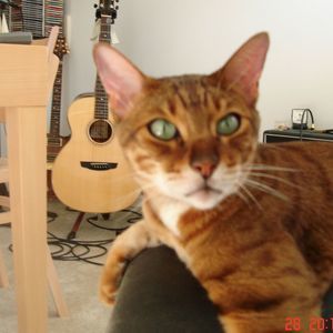 Meet your Posher, Tom